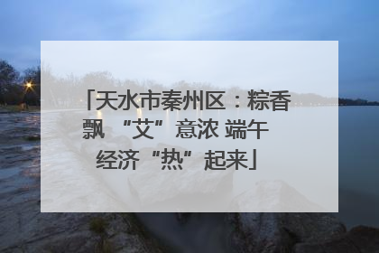 天水市秦州区：粽香飘 “艾”意浓 端午经济“热”起来
