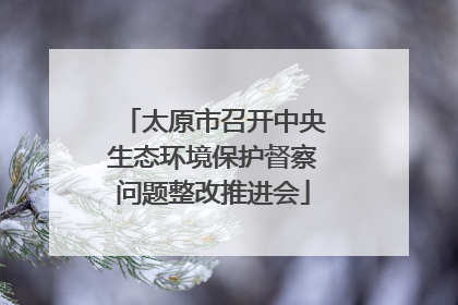 太原市召开中央生态环境保护督察问题整改推进会