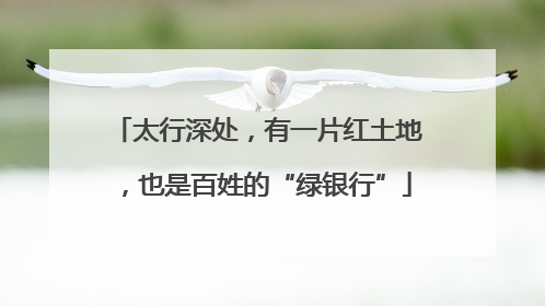 太行深处，有一片红土地，也是百姓的“绿银行”