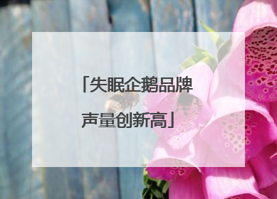 失眠企鹅品牌声量创新高