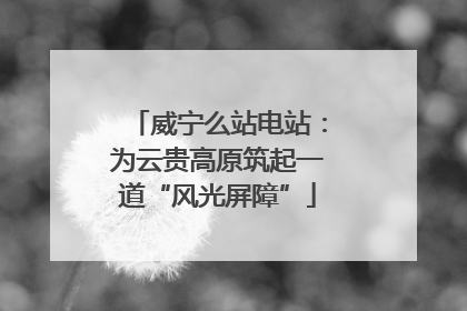 威宁么站电站：为云贵高原筑起一道“风光屏障”