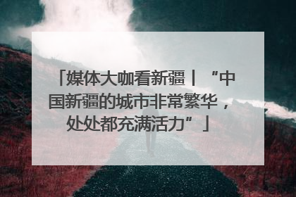 媒体大咖看新疆丨“中国新疆的城市非常繁华，处处都充满活力”