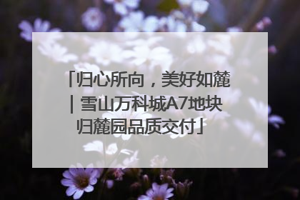 归心所向，美好如麓｜雪山万科城A7地块归麓园品质交付