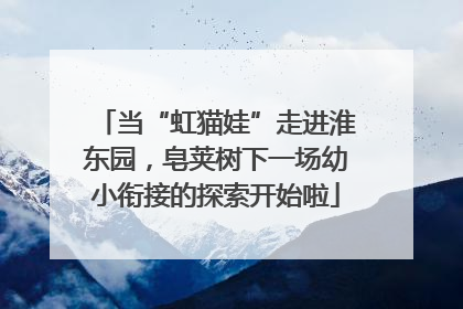 当“虹猫娃”走进淮东园，皂荚树下一场幼小衔接的探索开始啦