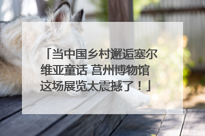 当中国乡村邂逅塞尔维亚童话 莒州博物馆这场展览太震撼了！