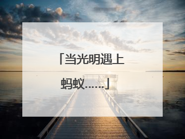 当光明遇上蚂蚁……