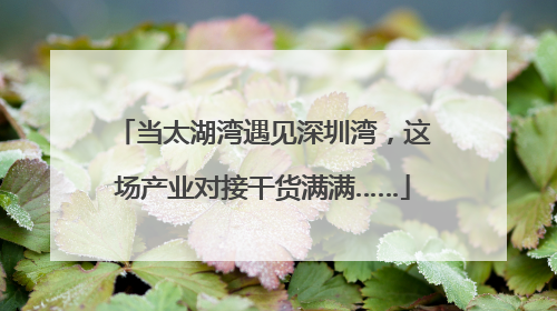 当太湖湾遇见深圳湾，这场产业对接干货满满……