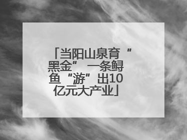 当阳山泉育“黑金” 一条鲟鱼“游”出10亿元大产业