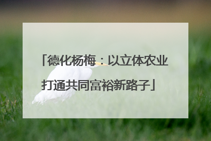 德化杨梅：以立体农业打通共同富裕新路子