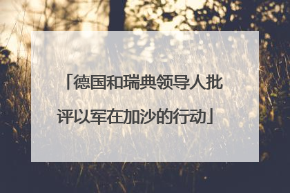 德国和瑞典领导人批评以军在加沙的行动