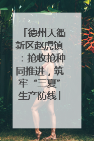 德州天衢新区赵虎镇：抢收抢种同推进，筑牢“三夏”生产防线