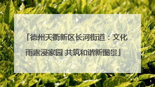 德州天衢新区长河街道：文化雨露浸家园 共筑和谐新图景