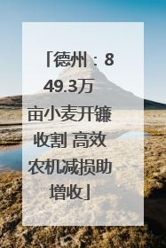 德州：849.3万亩小麦开镰收割 高效农机减损助增收