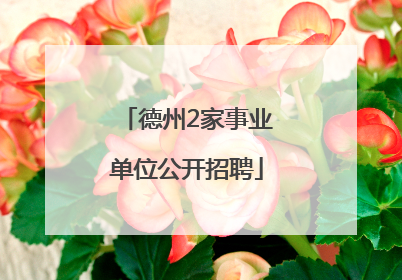 德州2家事业单位公开招聘