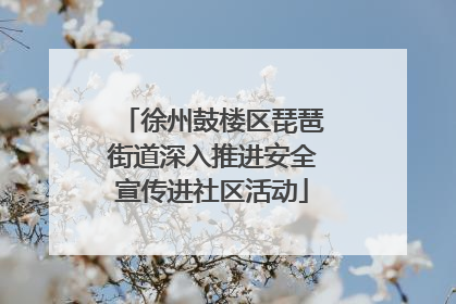 徐州鼓楼区琵琶街道深入推进安全宣传进社区活动