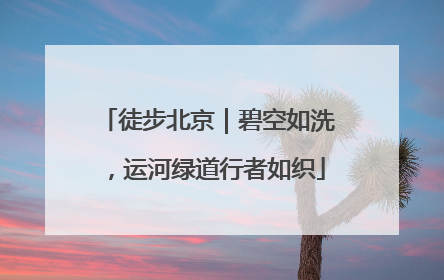 徒步北京｜碧空如洗，运河绿道行者如织