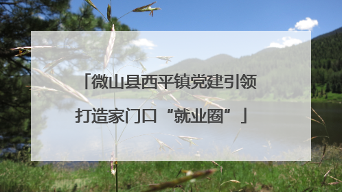 微山县西平镇党建引领打造家门口“就业圈”