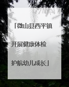 微山县西平镇开展健康体检 护航幼儿成长