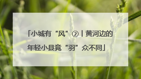 小城有“风”②丨黄河边的年轻小县竟“羽”众不同