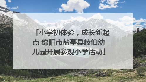 小学初体验，成长新起点 绵阳市盐亭县岐伯幼儿园开展参观小学活动