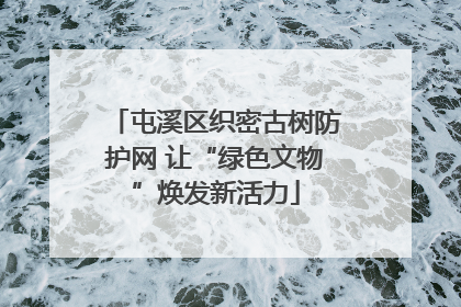 屯溪区织密古树防护网 让“绿色文物”焕发新活力