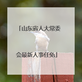 山东省人大常委会最新人事任免