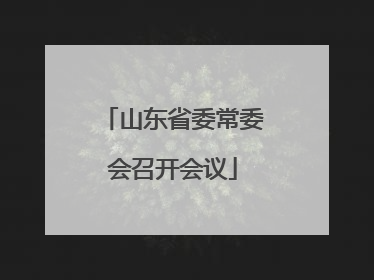 山东省委常委会召开会议