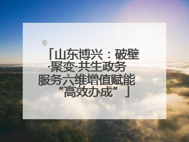 山东博兴：破壁·聚变·共生政务服务六维增值赋能“高效办成”