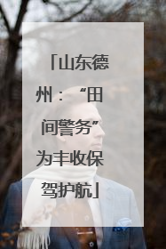 山东德州：“田间警务”为丰收保驾护航