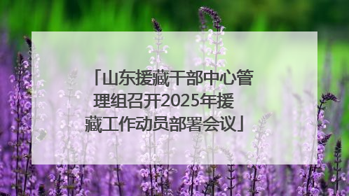 山东援藏干部中心管理组召开2025年援藏工作动员部署会议