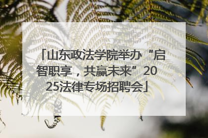 山东政法学院举办“启智职享，共赢未来”2025法律专场招聘会