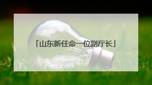 山东新任命一位副厅长