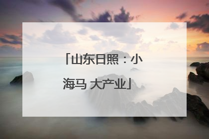 山东日照：小海马 大产业