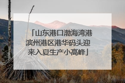 山东港口渤海湾港滨州港区港华码头迎来入夏生产小高峰