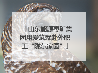 山东能源枣矿集团用爱筑就赴外职工“陇东家园”