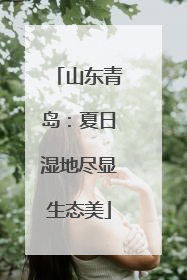 山东青岛：夏日湿地尽显生态美