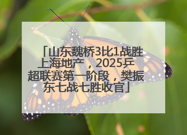 山东魏桥3比1战胜上海地产，2025乒超联赛第一阶段，樊振东七战七胜收官