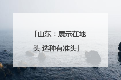 山东：展示在地头 选种有准头