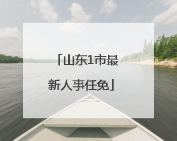 山东1市最新人事任免