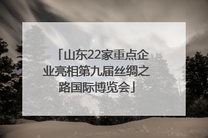 山东22家重点企业亮相第九届丝绸之路国际博览会