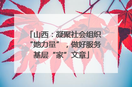山西：凝聚社会组织“她力量”，做好服务基层“家”文章