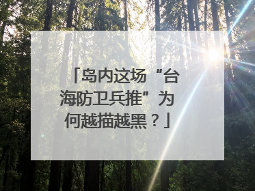 岛内这场“台海防卫兵推”为何越描越黑？