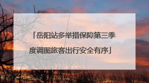 岳阳站多举措保障第三季度调图旅客出行安全有序