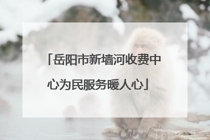 岳阳市新墙河收费中心为民服务暖人心