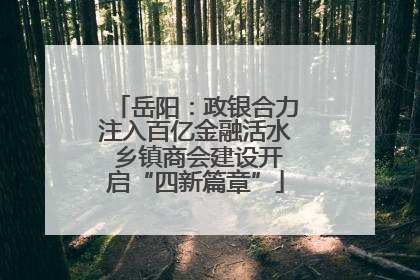 岳阳：政银合力注入百亿金融活水 乡镇商会建设开启“四新篇章”