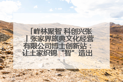 峰林聚智 科创兴张丨张家界旅典文化经营有限公司博士创新站：让土家织锦“智”造出非遗新传奇