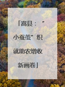 嵩县：“小蚕茧”织就助农增收新画卷