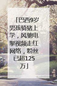 巴西9岁男孩骑猪上学，风驰电掣视频走红网络，粉丝已超125万
