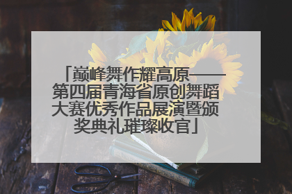 巅峰舞作耀高原——第四届青海省原创舞蹈大赛优秀作品展演暨颁奖典礼璀璨收官