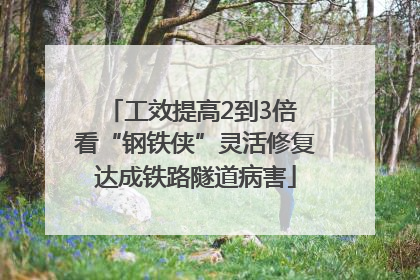 工效提高2到3倍 看“钢铁侠”灵活修复达成铁路隧道病害